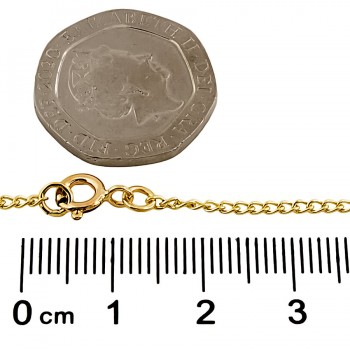 9ct Gold Amber Necklace